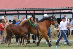 IMG_0128
