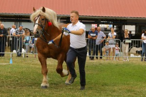 IMG_0146