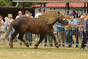 IMG_0279