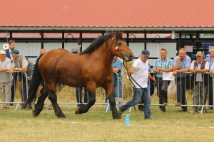 IMG_0299