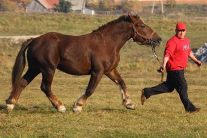 IMG_2094