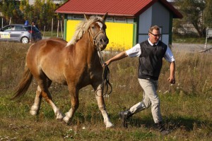 IMG_2227