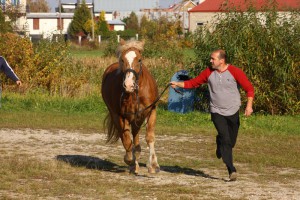IMG_2272