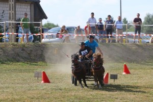 Zawody zaprzęgowe