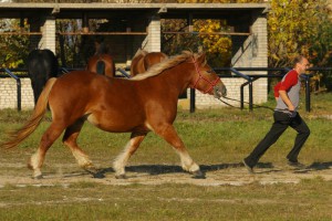 IMG_7870