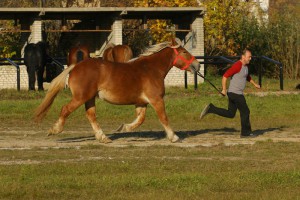 IMG_7880