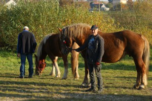 IMG_7905