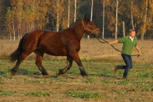 IMG_8023