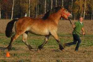 IMG_8102