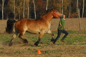 IMG_8119