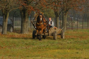 IMG_8134