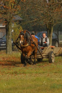 IMG_8136