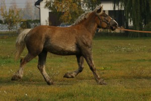 IMG_8168