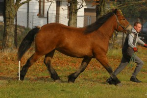 IMG_8190